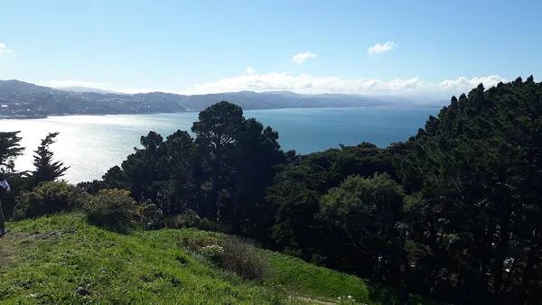 Wellington — photo 4