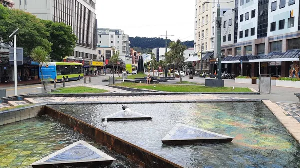 Wellington — photo 5
