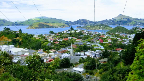 Dunedin — photo 2
