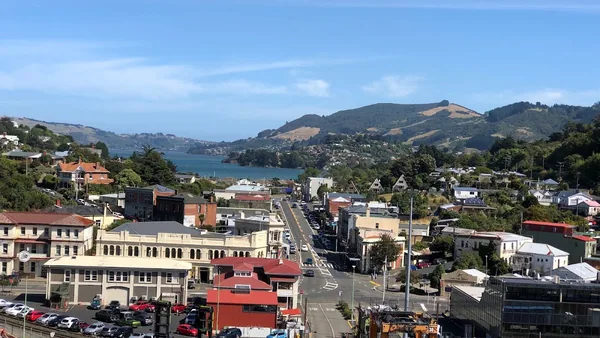 Dunedin — photo 3