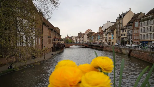 Strasbourg — photo 4