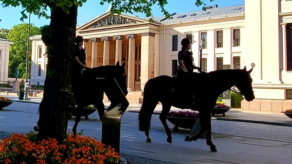 Oslo — photo 2
