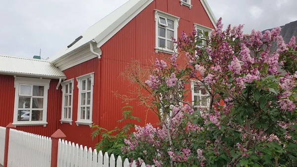 Ísafjörður — photo 5