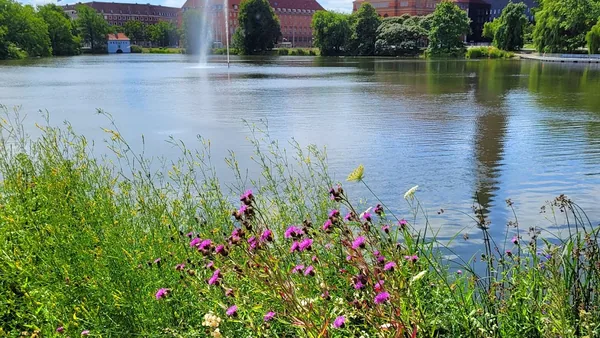 Kiel — photo 2