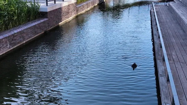 Kiel — photo 5