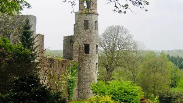 Cork — photo 2