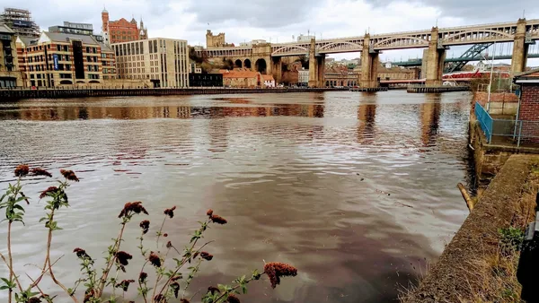 Newcastle — photo 2
