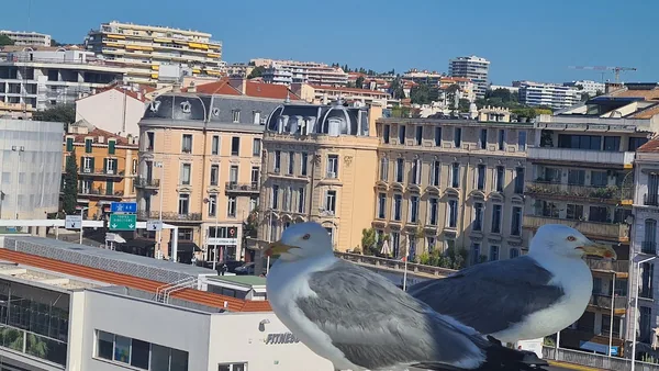Cannes — photo 1