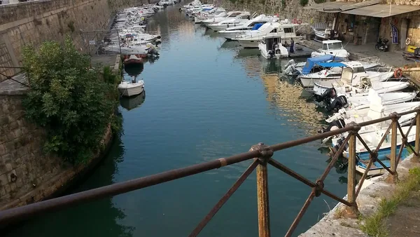 Livorno — photo 1
