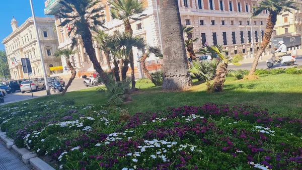 Bari — photo 5