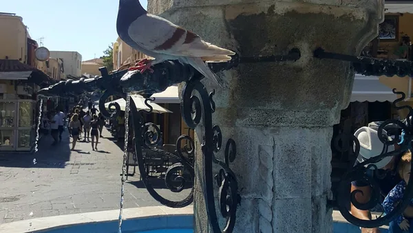 Rhodes — photo 3