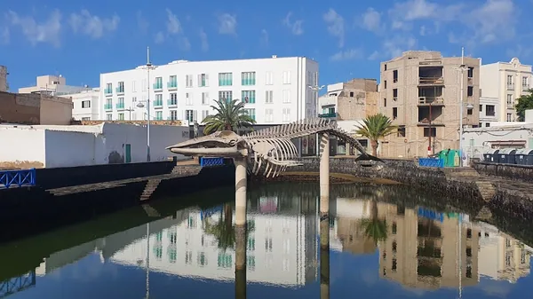 Arrecife — photo 3