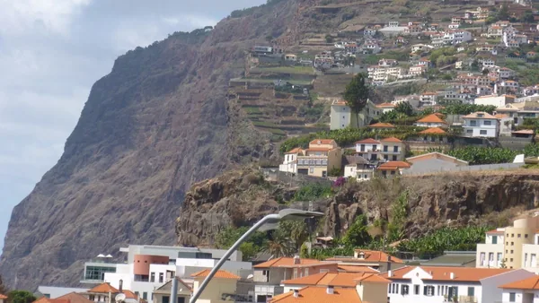 Funchal — photo 3