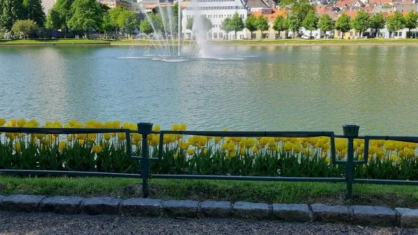 Bergen — photo 1