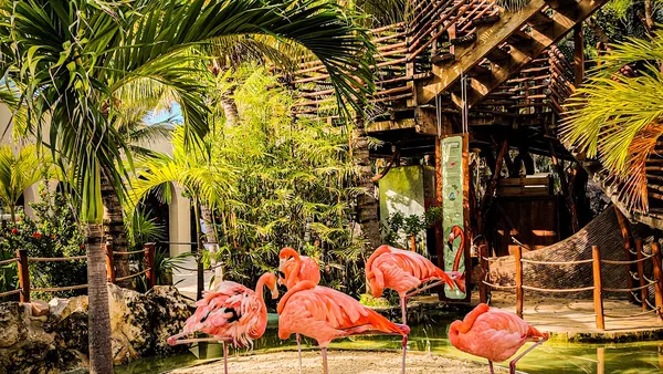 Costa Maya — photo 4
