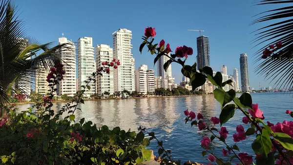 Cartagena — photo 1