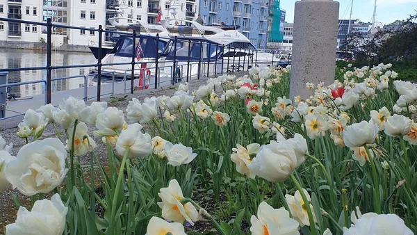 Ålesund — photo 2