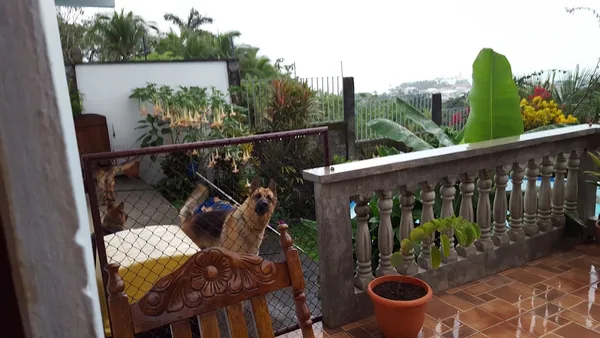 Puerto Limón — photo 3