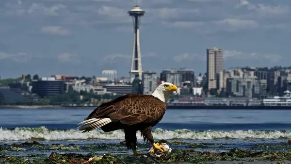 Seattle — photo 2