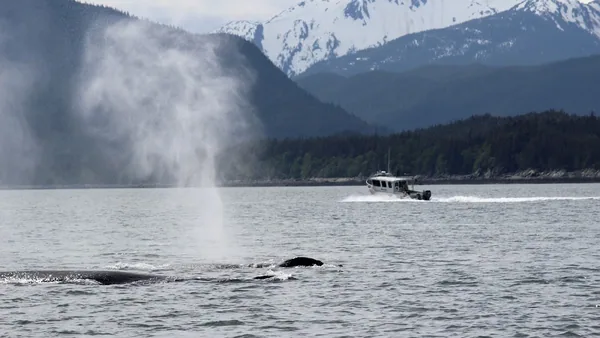 Juneau — photo 1