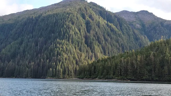Sitka — photo 2
