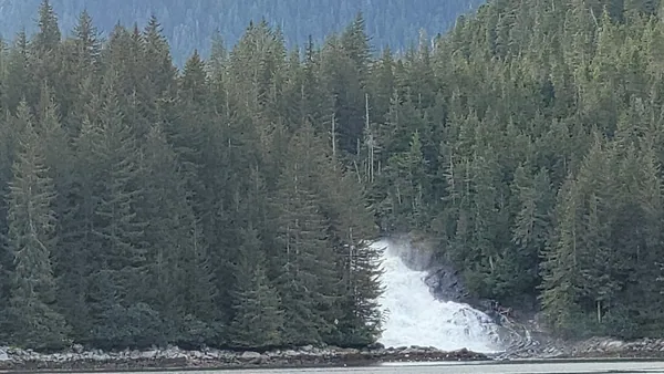 Sitka — photo 3