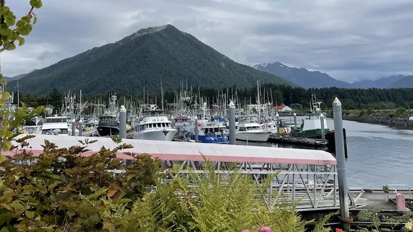 Sitka — photo 4