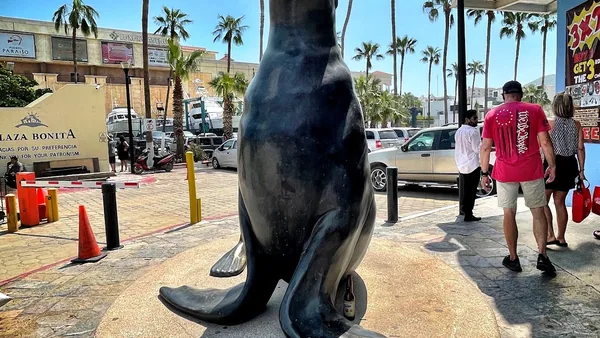 Cabo San Lucas — photo 1