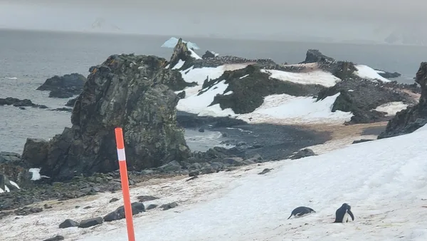 Antarctica & Expedition — photo 3