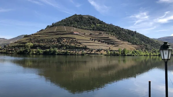 Douro — photo 4