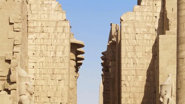 Nile — photo 4