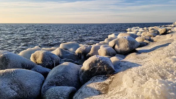 Baltic — photo 4