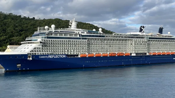 Celebrity Reflection — photo 5